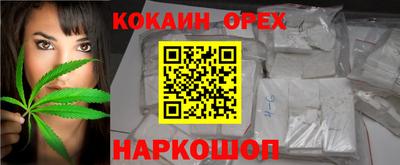 сатива Заволжье