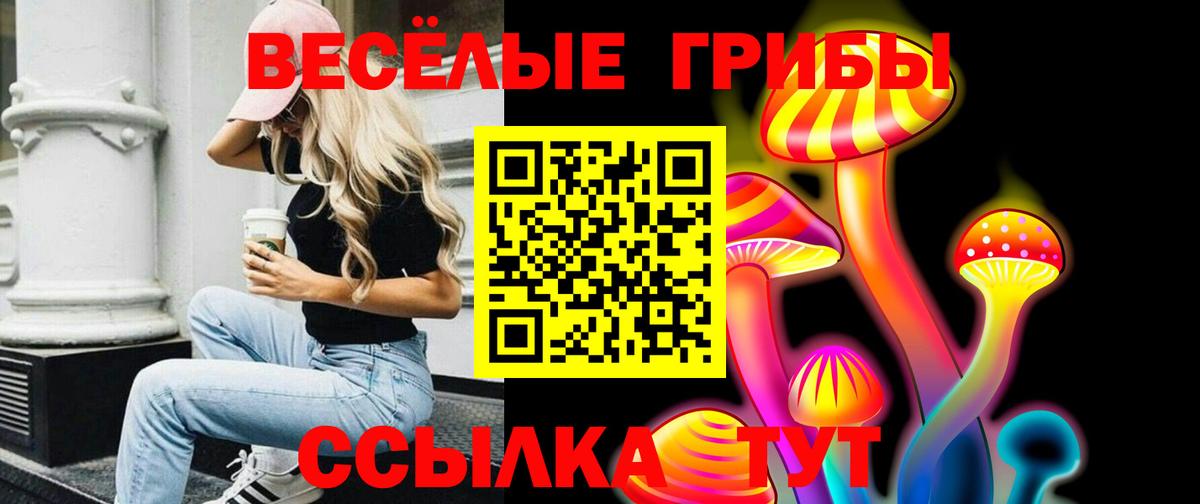 Галлюциногенные грибы Cubensis Медногорск