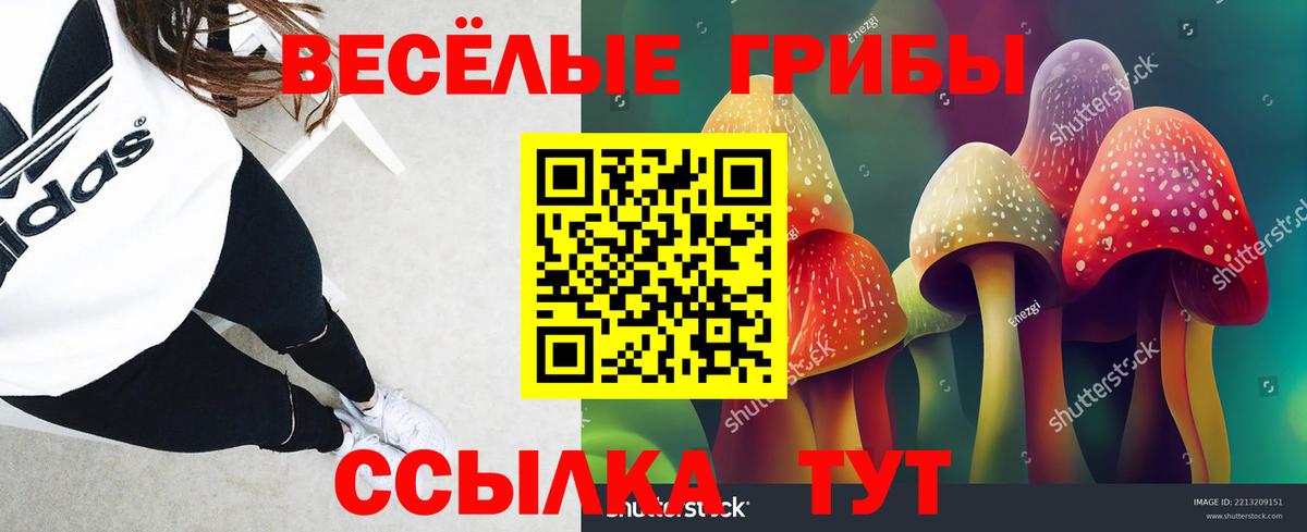 ЭКСТАЗИ  ГАШИШ  Мефедрон  Вход с VPN  Cocaine  Меф МЯУ МЯУ   Канабис  Медногорск  А ПВП СОЛЬ кристаллы  Как найти закладки? 